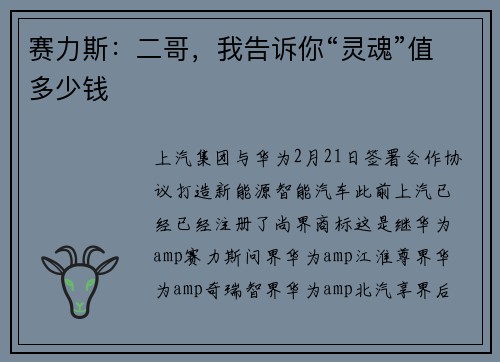 赛力斯：二哥，我告诉你“灵魂”值多少钱