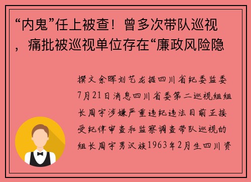 “内鬼”任上被查！曾多次带队巡视，痛批被巡视单位存在“廉政风险隐患”