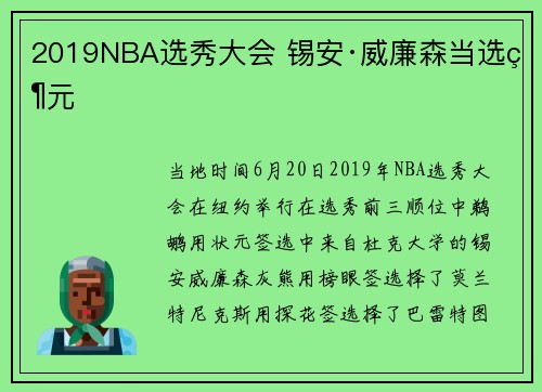 2019NBA选秀大会 锡安·威廉森当选状元