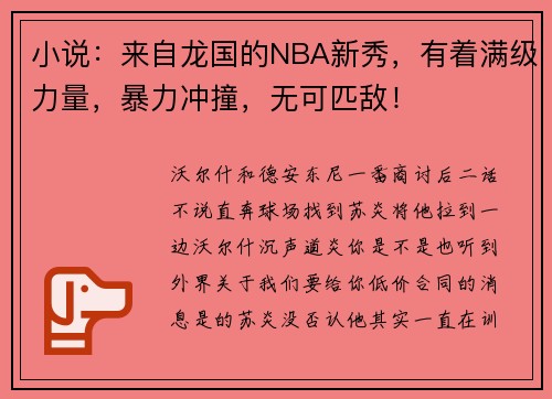 小说：来自龙国的NBA新秀，有着满级力量，暴力冲撞，无可匹敌！