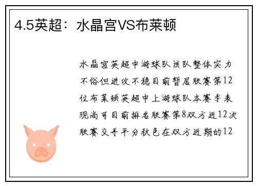 4.5英超：水晶宫VS布莱顿