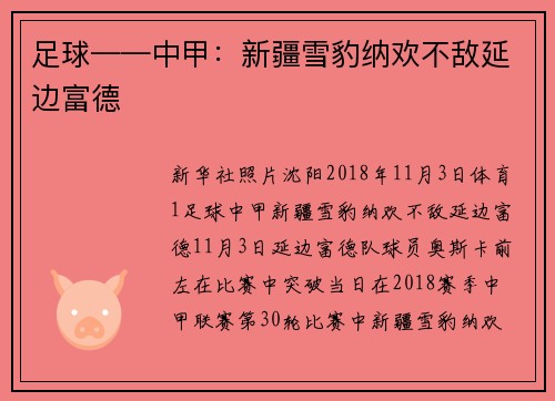 足球——中甲：新疆雪豹纳欢不敌延边富德